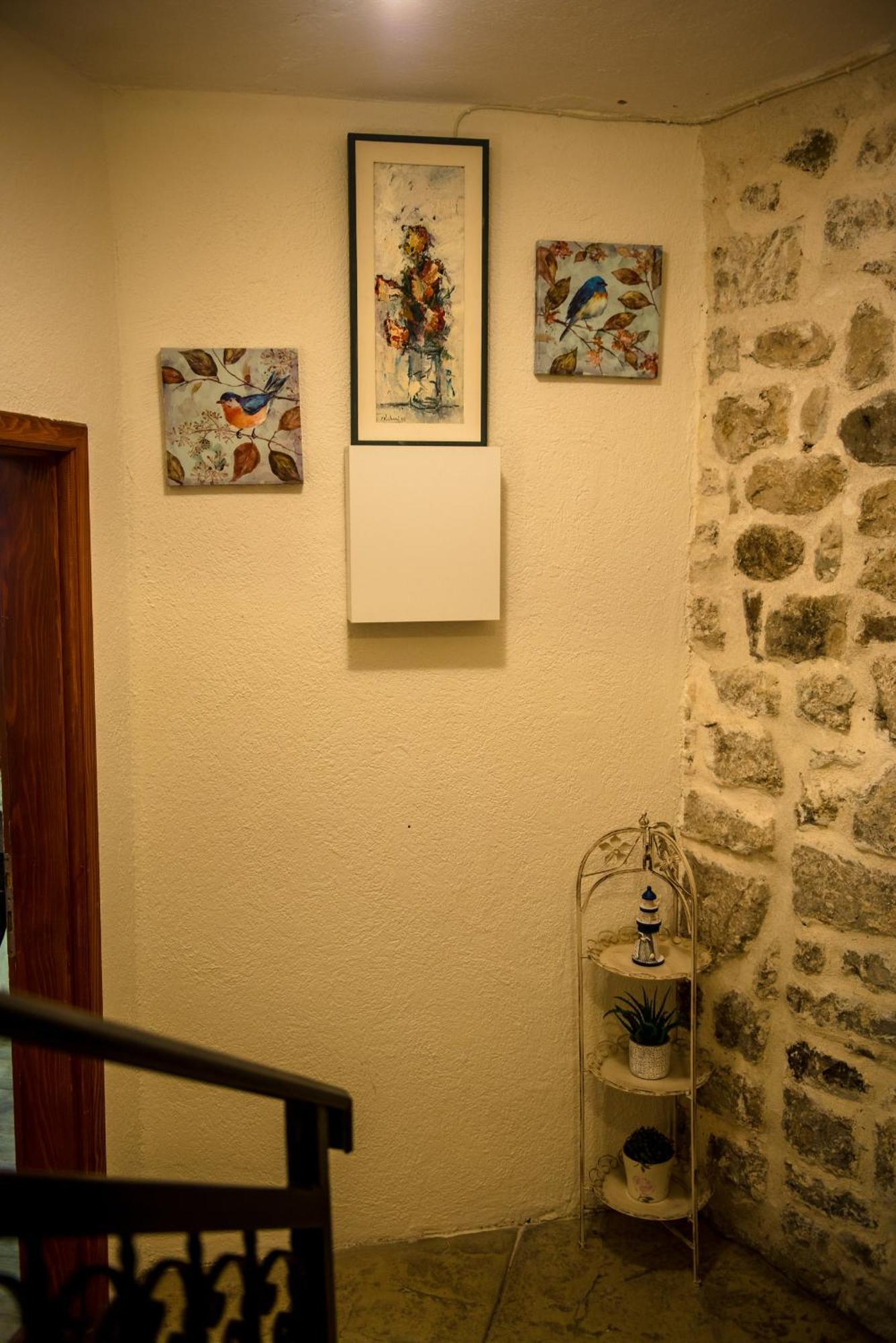 Antika Guesthouse Kotor Extérieur photo